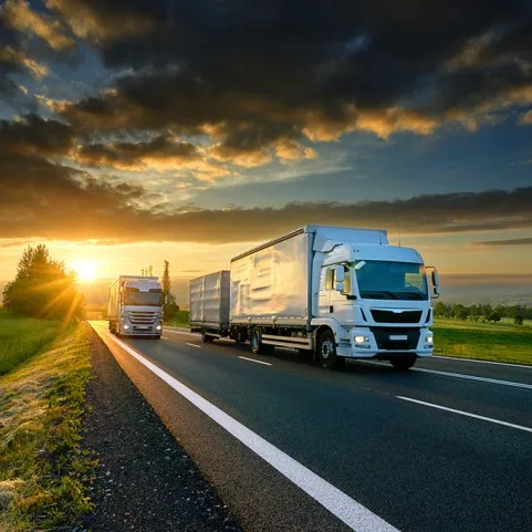 DISPOSITIVI DI TRACCIAMENTO PER CAMION