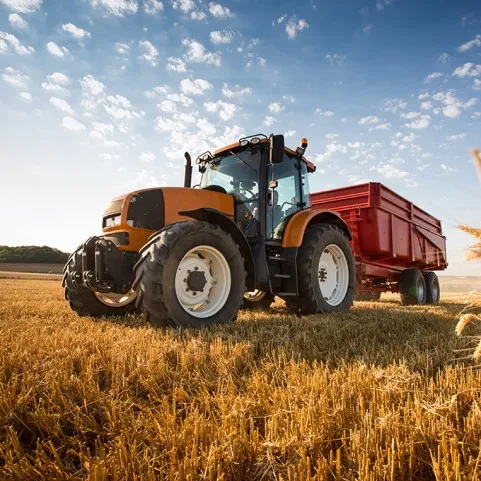 INSEGUITORI DELLA MIETITRICE