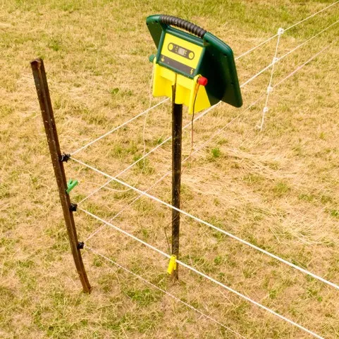 INSEGUITORI DI PASTORI ELETTRICI