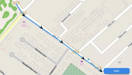 Tracciamento in tempo reale